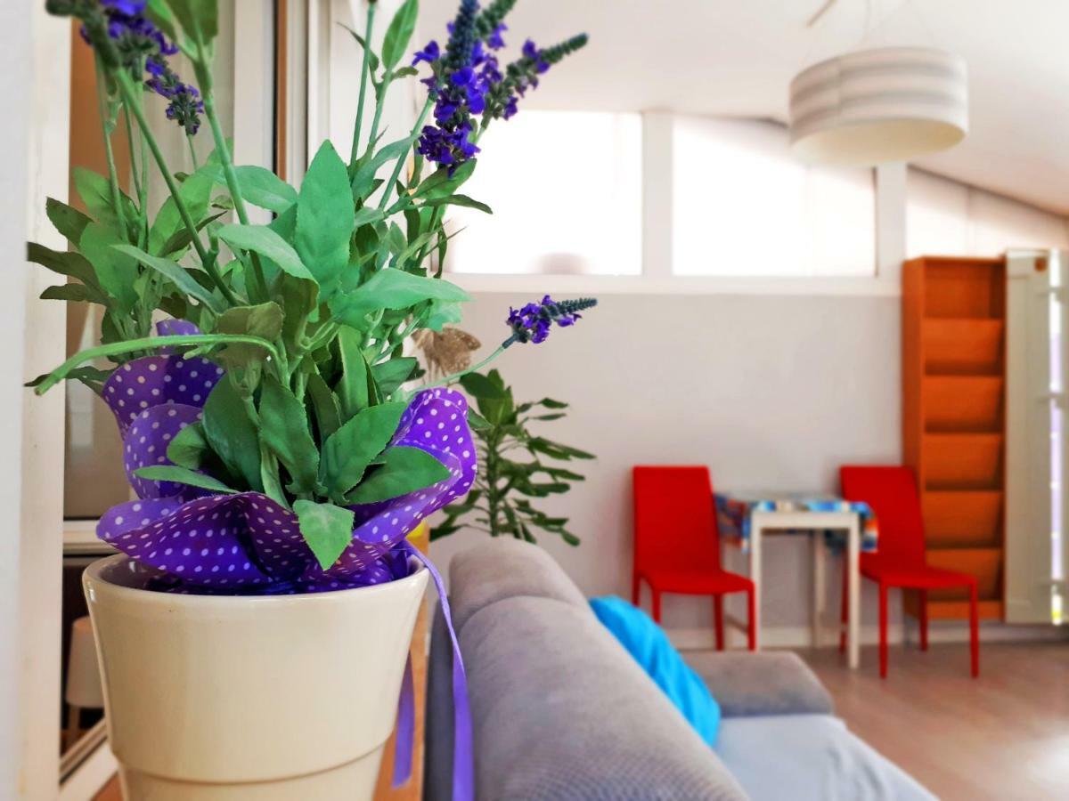 Apartment Matej Rovinjsko Selo Bagian luar foto